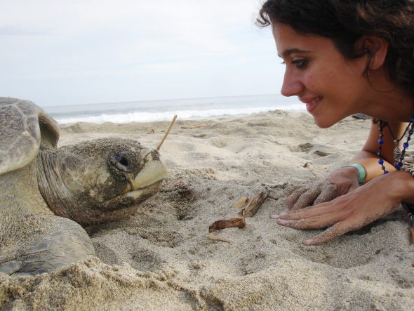 Persona amb una tortuga a la platja